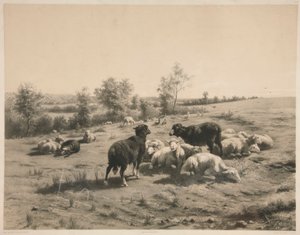 Owce autorstwa Louis Emmanuel Soulange Teissier