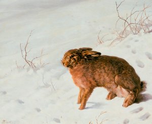 Zając w śniegu, 1875 autorstwa Louis Ferdinand von Rayski