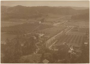  autorstwa Louis Fleckenstein
