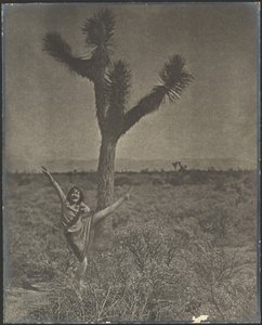 [Tancerka w Joshua Tree] autorstwa Louis Fleckenstein