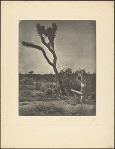 [Tancerka w Joshua Tree] autorstwa Louis Fleckenstein
