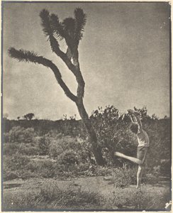 [Tancerz przy Joshua Tree] autorstwa Louis Fleckenstein