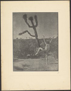 Dancing Master autorstwa Louis Fleckenstein