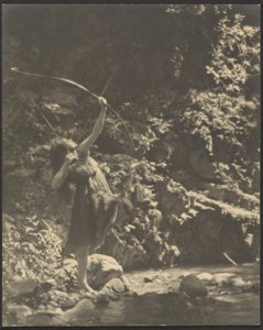 [Kobieta łucznik w lesie]