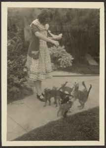  autorstwa Louis Fleckenstein