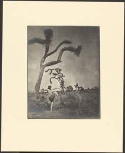  autorstwa Louis Fleckenstein