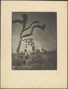  autorstwa Louis Fleckenstein