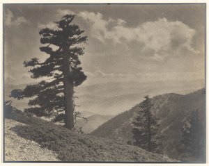 [Na grzbiecie do Old Baldy] autorstwa Louis Fleckenstein