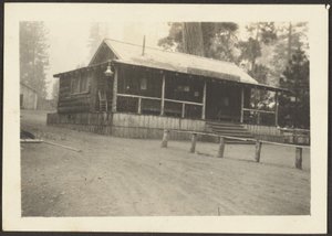 [Pine Knot Store] autorstwa Louis Fleckenstein