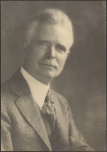 [Portret mężczyzny z cętkowanym krawatem]. autorstwa Louis Fleckenstein
