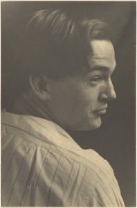  autorstwa Louis Fleckenstein