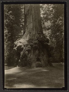  autorstwa Louis Fleckenstein