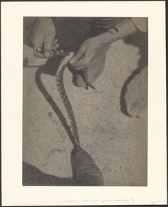 autorstwa Louis Fleckenstein