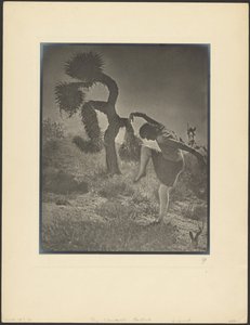  autorstwa Louis Fleckenstein