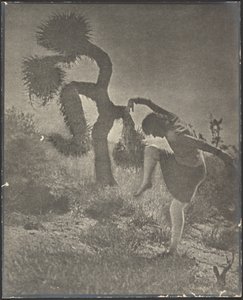  autorstwa Louis Fleckenstein