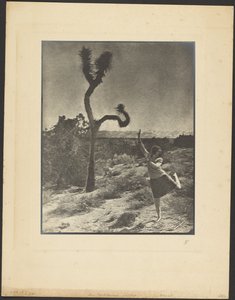  autorstwa Louis Fleckenstein