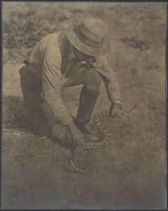  autorstwa Louis Fleckenstein