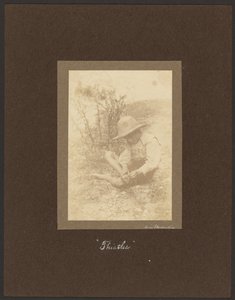  autorstwa Louis Fleckenstein