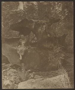  autorstwa Louis Fleckenstein