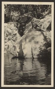 [Kobieta w Lakeside] autorstwa Louis Fleckenstein