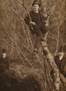 Mężczyzna siedział na drzewie, 1937