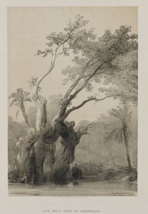 Egipt i Nubia, Tom III: Święte Drzewo Metrei, 1849. autorstwa Louis Haghe