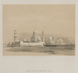 Egipt i Nubia, Tom III: Grobowce Memlooks, Kair, 1849. autorstwa Louis Haghe
