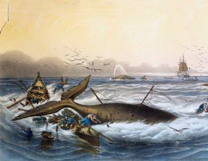 Wielorybnictwo na morzach południowych, litografia kolorowa autorstwa Louisa Lebretona (zm. 1866)