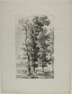 Studium Drzew autorstwa Louis Pierre Baltard