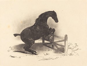 Koń skaczący przez barierę autorstwa Louis Pierre Marie Courtin after Théodore Gericault