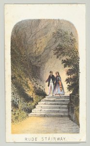 Niegrzeczne schody, z serii Widoki w Central Parku, Nowy Jork, część 2, 1864.