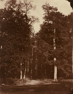 Las w Saint-Cloud