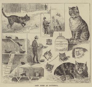 Dom kotów w Battersea autorstwa Louis Wain