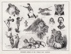 Przedstawienie zwierząt na „Światowych Targach” Islington (grafika) autorstwa Louis Wain