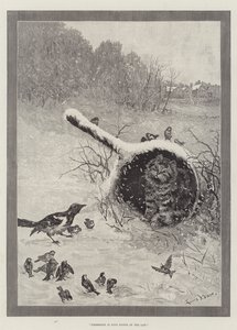 Posiadanie to dziewięć punktów prawa autorstwa Louis Wain