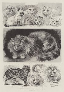 Laureaci na Krajowej Klubowej Wystawie Kotów w Crystal Palace autorstwa Louis Wain