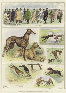 Szkice na Waterloo Coursing Meeting