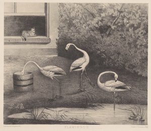 Trzy flamingi i kot autorstwa Louise Marie Françoise van der Beek