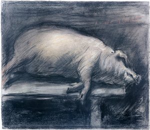 Rysunek zabitej świni, Lovis Corinth (1858-1925) Nowy Jork, Museum of Modern Art