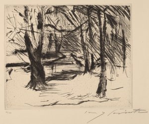 Drzewa ze słońcem Drzewa w słońcu, 1920-1921. autorstwa Lovis Corinth