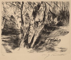 Brzozy w Tiergarten autorstwa Lovis Corinth