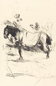 Koń Reitpferd, 1916. autorstwa Lovis Corinth