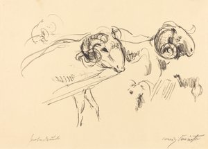 Schafböcke (Barany) autorstwa Lovis Corinth