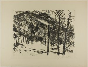 Dolina, od wczesnej wiosny w górach autorstwa Lovis Corinth