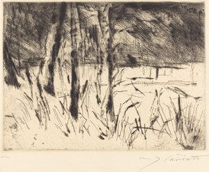 Ogród Zoologiczny Tiergarten, 1922. autorstwa Lovis Corinth