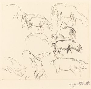 Różne badania na zwierzętach Badania na zwierzętach, 1917. autorstwa Lovis Corinth