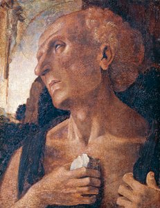 Św. Hieronim, przypisywany Luce Signorelli (ok. 1441 lub 1450-1523) autorstwa Luca (attr.to) Signorelli
