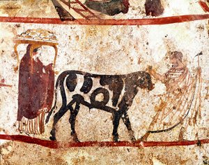 Byk prowadzi na ołtarzu fresk ofiarny Lucan z IV wieku pne, z nekropolii Andriuolo w Paestum we Włoszech. Narodowe Muzeum Archeologiczne, Paestum