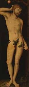 Adam, 1528 autorstwa Lucas Cranach the Elder