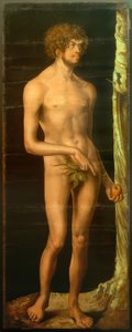 Adam autorstwa Lucas Cranach the Elder